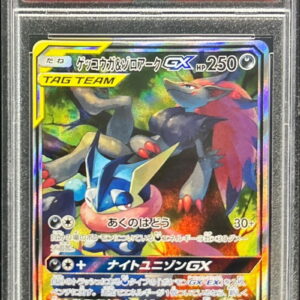 [PSA 9 Appraised] Gekkouga & Zoroark GX (SA) [SR] 059/055 [Others]