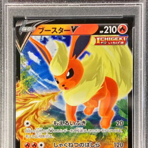 [PSA 10 Graded] Booster V[RR]011/069 [Others]