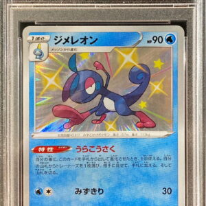 [PSA 10 Graded] Dimeleon [S]225/190 [Others]