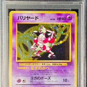 [PSA 9 appraised] Barriered LV.28 [★] Old back [Others]