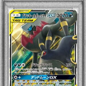 [PSA 9 appraised] Blackie & Darkrai GX (RR specification) [-]010/031 [Others]