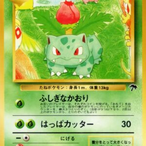 Fushigisou LV.23[-]Old back [Old back]