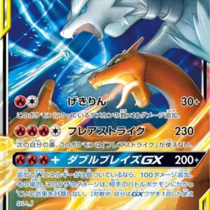 Reshiram & Charizard GX[RR]016/173 [sm12a]